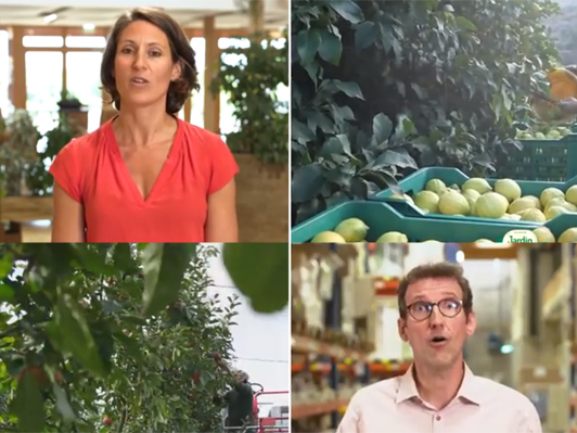 Des vidéos qui valorisent l’engagement exemplaire de Jardin BIO étic