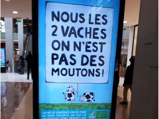 Les 2 vaches ne sont pas des moutons