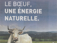 Le boeuf, bon par nature