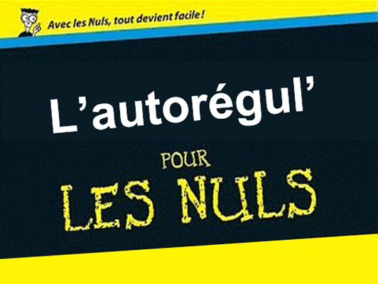 Pub et environnement : l’autorégul’ pour les nuls